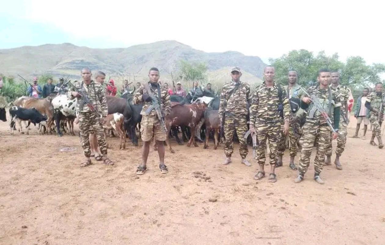 Madagascar : BETROKA - Trois gendarmes abattus par les dahalo