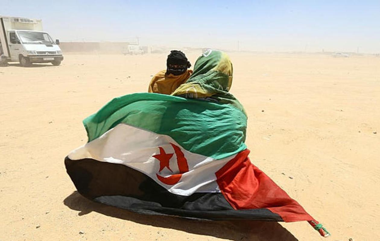📰 Les Sahraouis de Tindouf protestent contre la résolution américaine sur le Sahara occidental