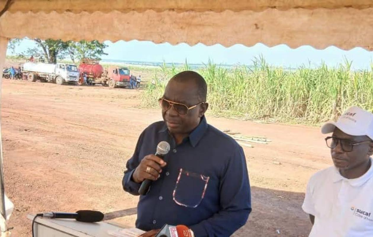 Côte d’Ivoire : le sucre face au défi climatique – la filière se réinvente !