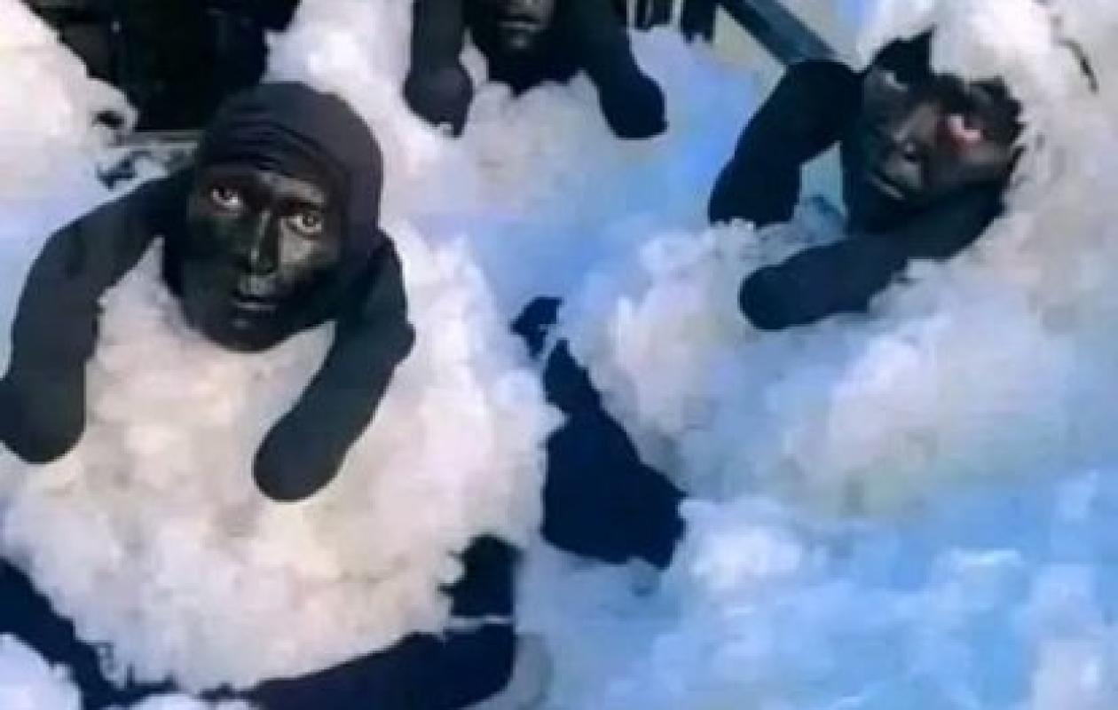 Tentative de Migration  : Trois Individus Interpellés Déguisés en Moutons