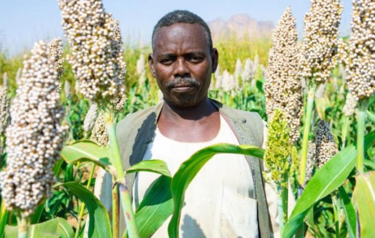 Changement Climatique : Plus de 90 % des pays menacés par le déclin de leurs rendements agricoles, alerte l'ONU