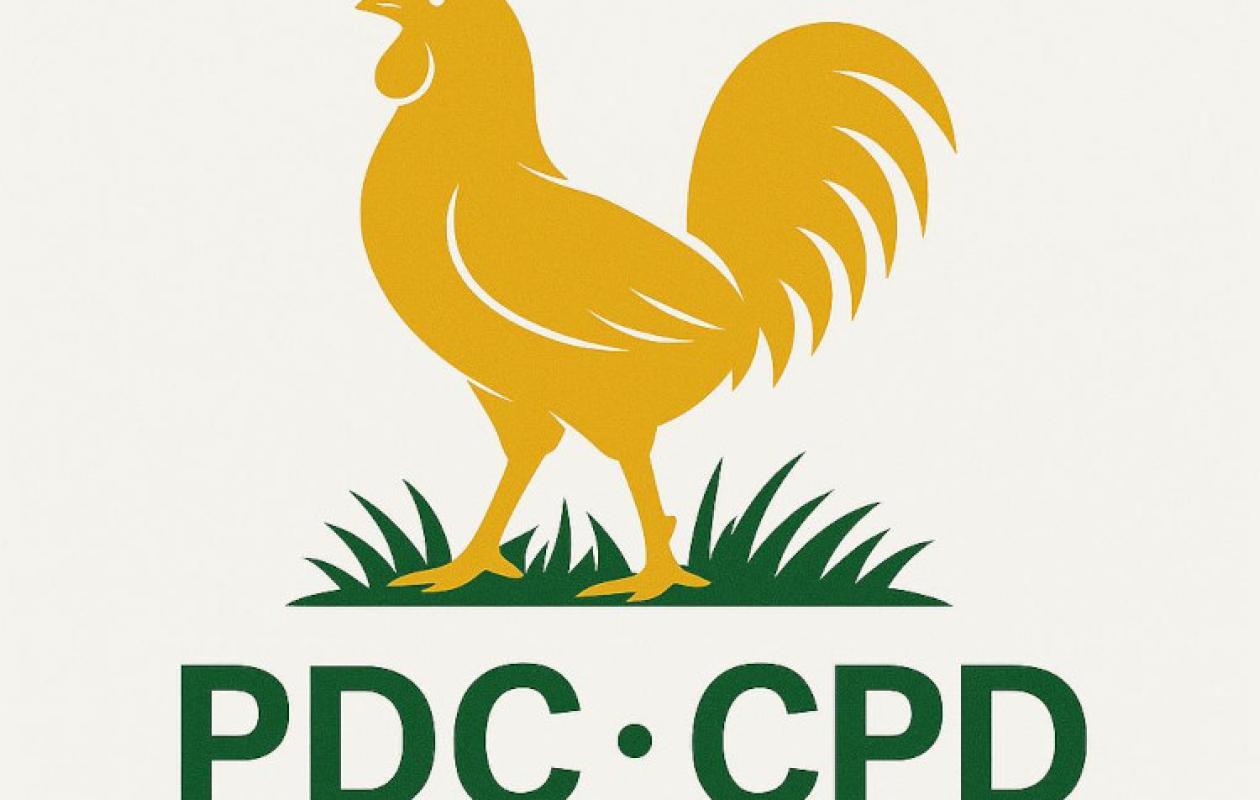 Cameroun : Le PDC interroge la "Liberté d'entreprendre" du gouvernement : Effet d'Annonce ou Réelle Stratégie ?