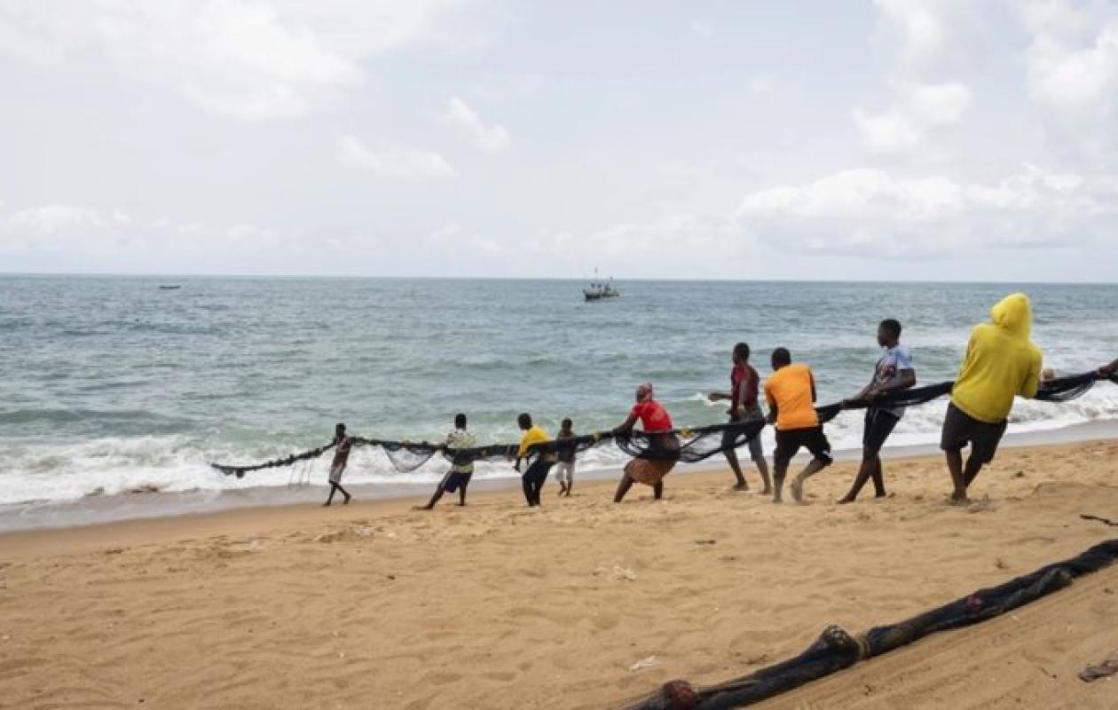 Résilience Climatique : La Banque Mondiale Propose des Solutions Locales pour Sauvegarder l'Emploi et les Communautés