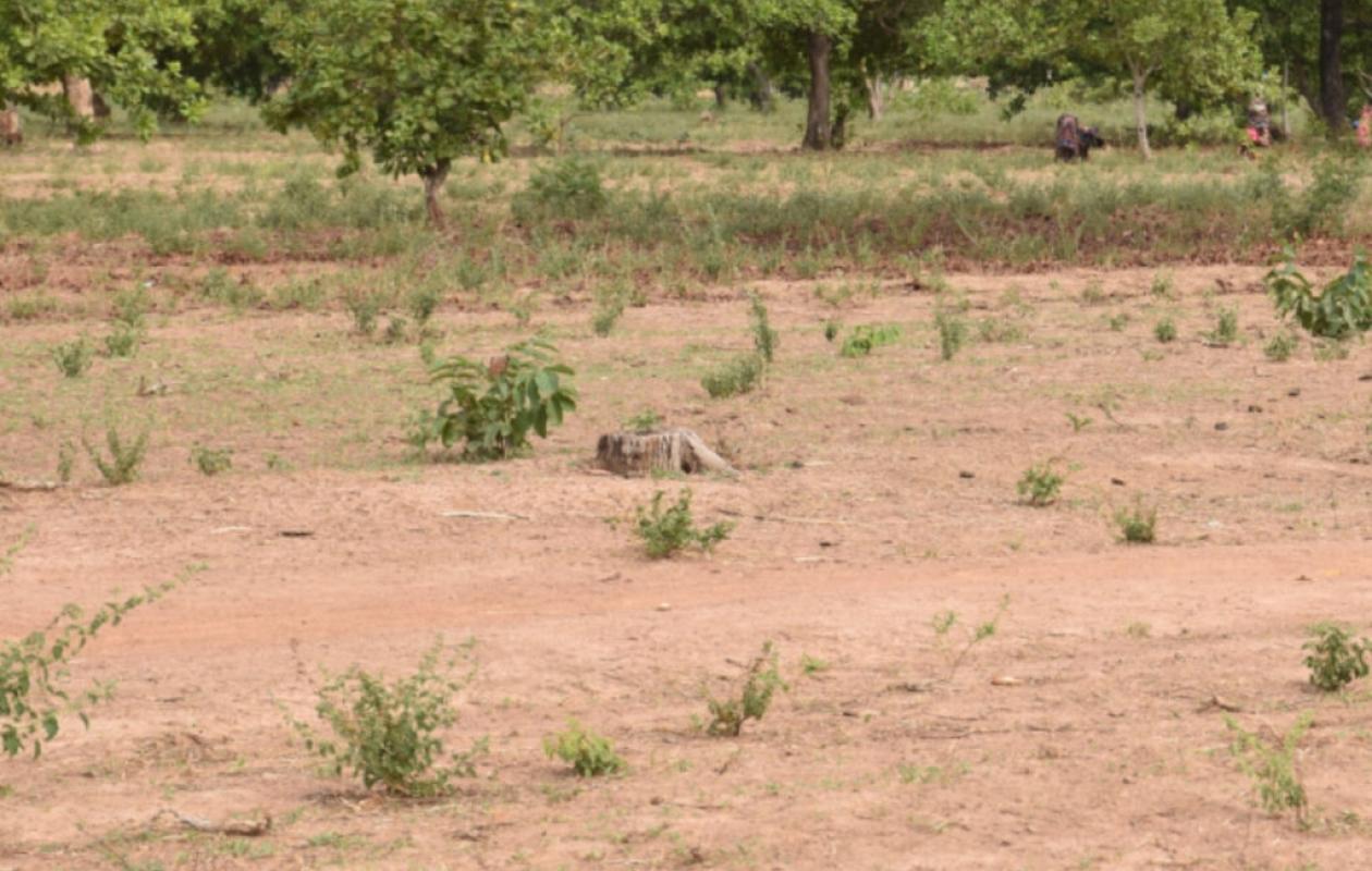 Togo : Fin d'un Litige Foncier de Plus de Trente-Cinq Ans à Avepozo