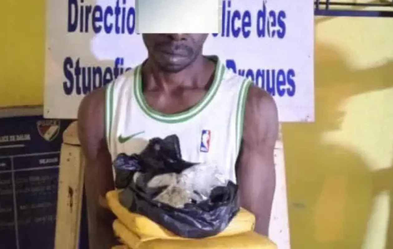 Daloa : Saisie de 7 kg de Cannabis et Arrestation d'un Individu à Gbokora