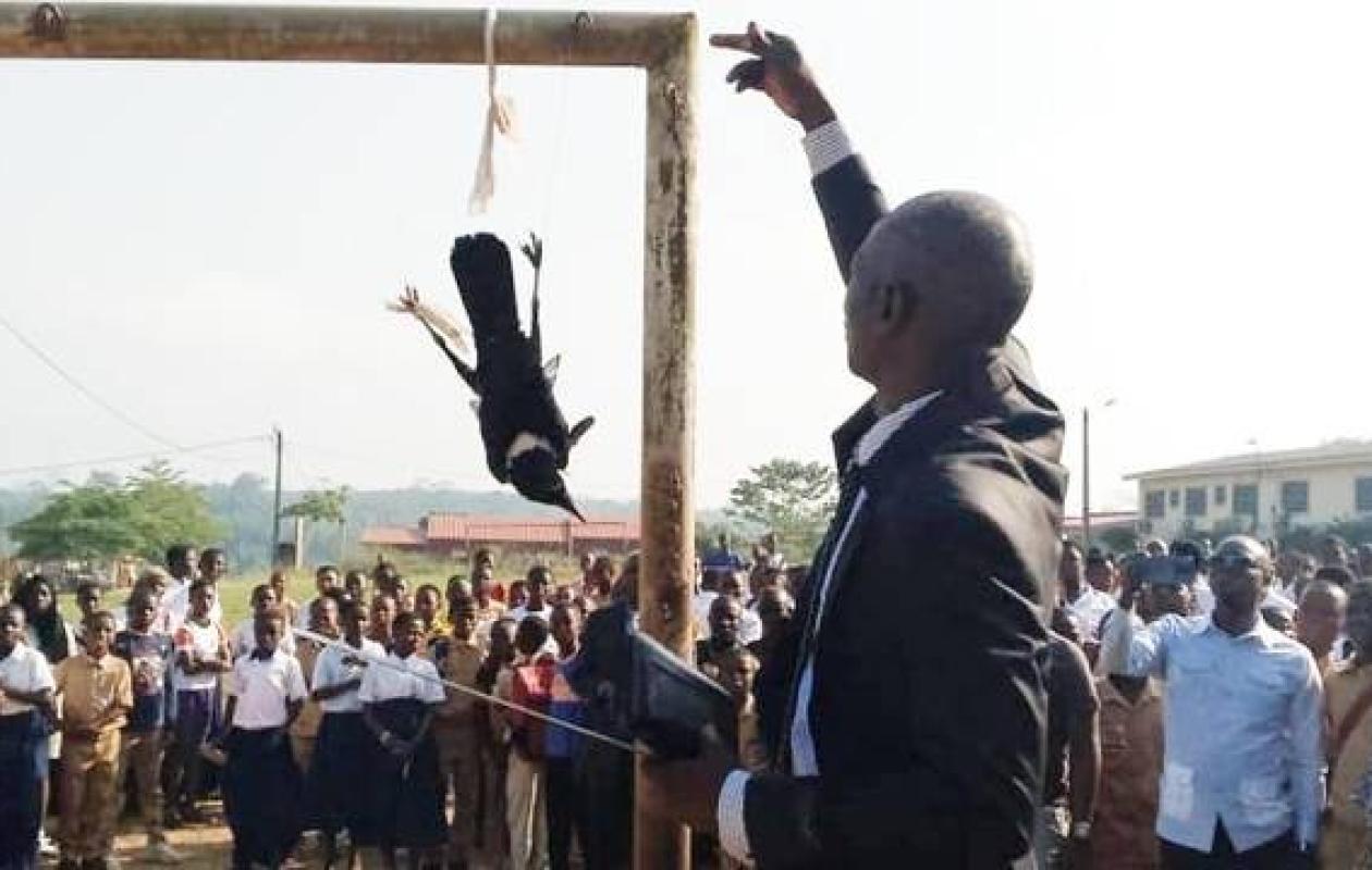 Bettie : La découverte d'un corbeau attaché interrompt les cours au Lycée Nanan Adépra