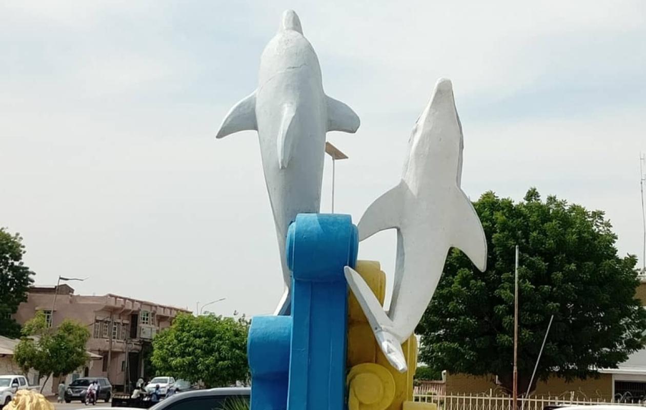 N'Djamena : L'énigme des dauphins au cœur du Sahel