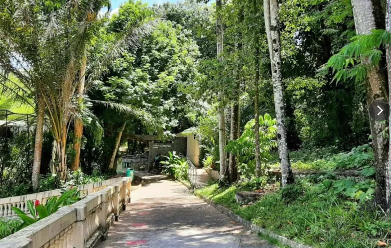 Tragédie au Brésil : Un jeune homme tué par une lionne après être entré dans son enclos