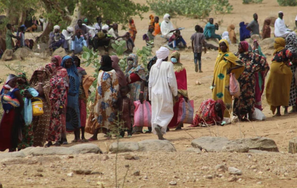 Crise Humanitaire au Tchad : La FAO Lance un Plan d'Urgence et de Résilience Ambitieux (2026-2028)