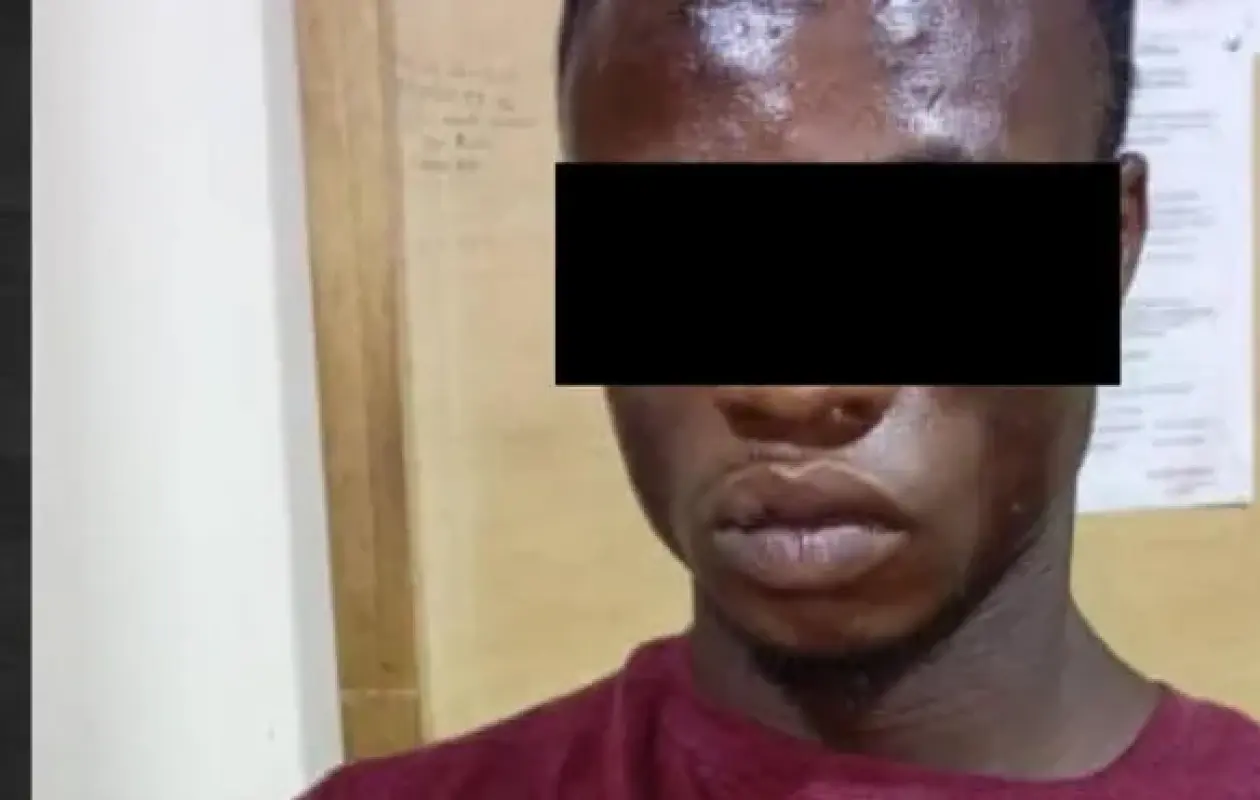 Drame à Dema (Vavoua) : "Satan" interpellé après un meurtre atroce dans un champ de cacao