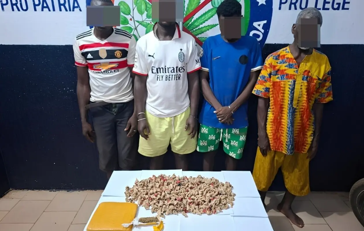 VAVOUA : Un Réseau de Trafic de Drogue Démantelé – Quatre Individus, Dont un Faux « Enseignant », Interpellés