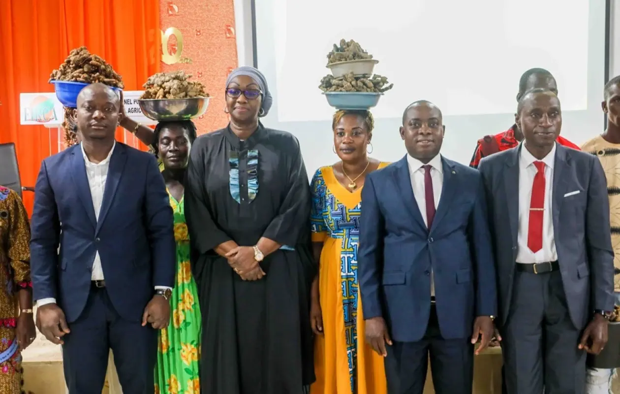 Gingembre et Curcuma : La Côte d'Ivoire S'Engage pour l'Excellence et la Compétitivité Mondiale