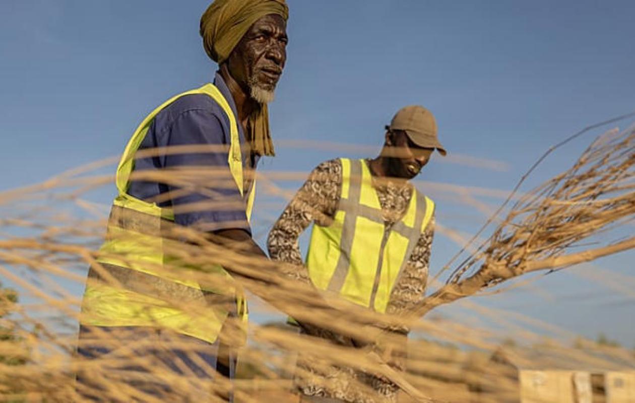 Mauritanie : Les réfugiés maliens en première ligne contre les feux de brousse
