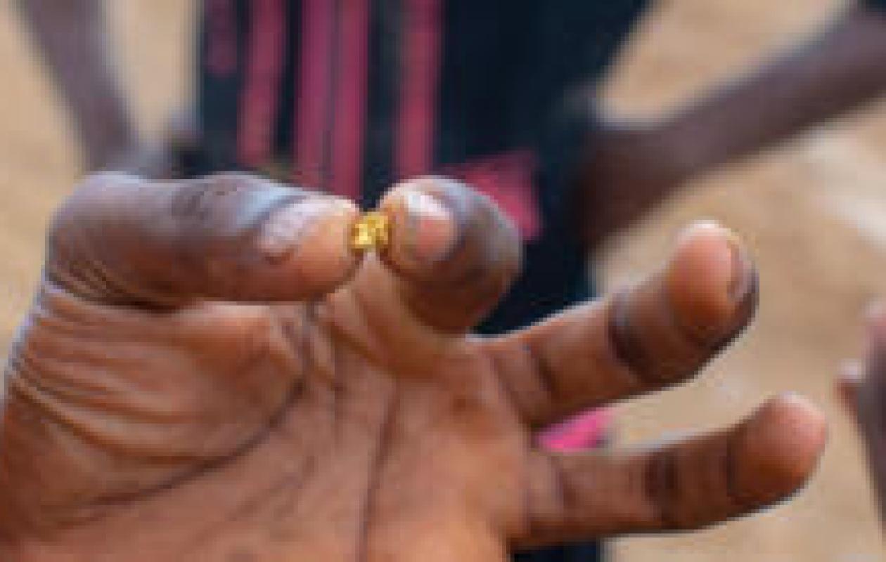 Alerte au Cameroun : Le gouffre financier du trafic d'or atteint 250 millions d'euros