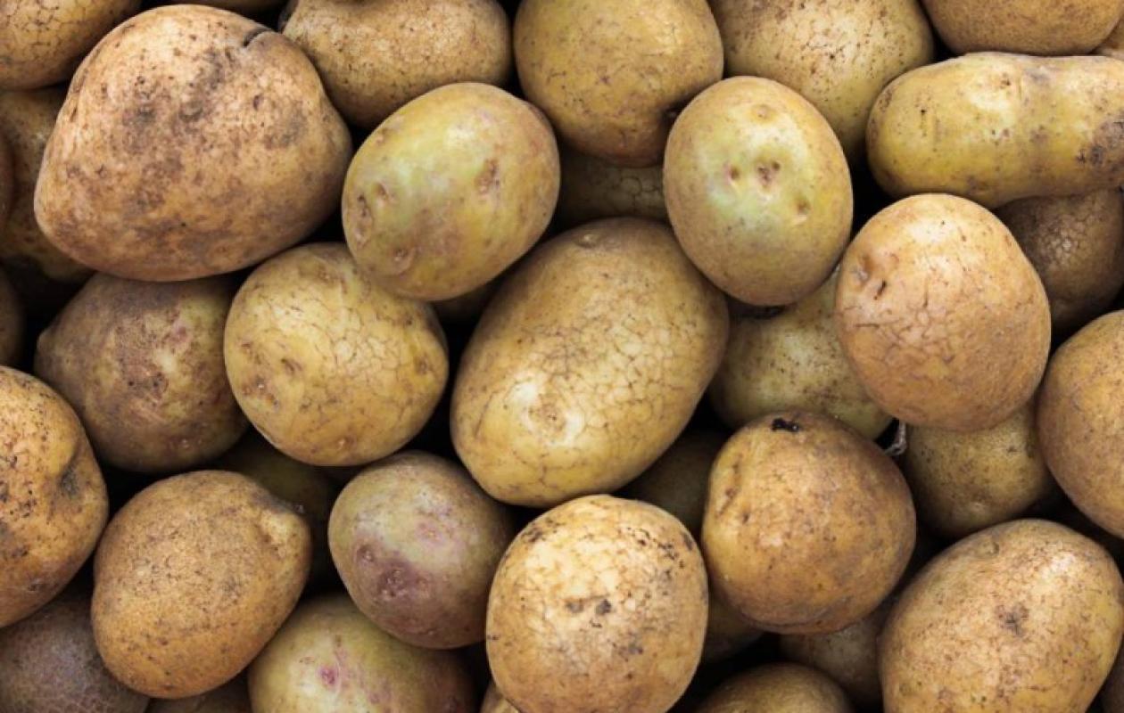 Marchés d'Abidjan : Le point sur les prix du mardi 23 décembre 2025