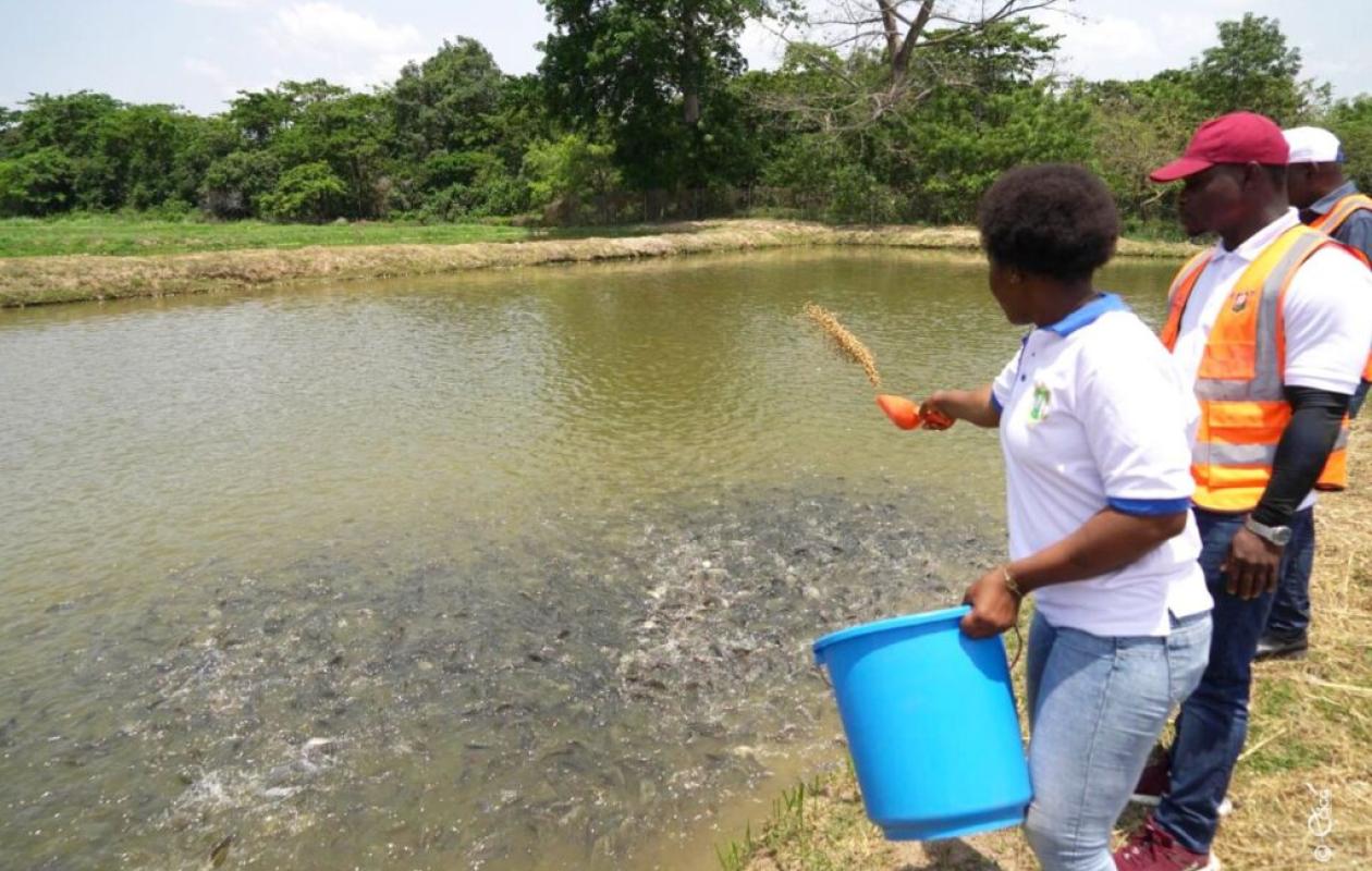 Le secteur halieutique, un moteur de croissance avec 680 000 emplois créés