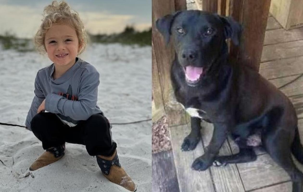 Johnathan, 4 ans, disparu dans les bois : son corps découvert à côté de son chien vivant