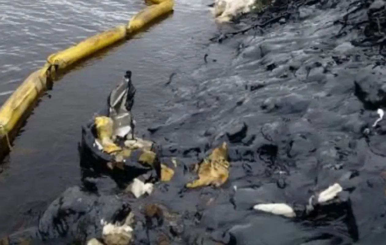 Pollution à Grand-Bassam : Le CIAPOL fait le point sur l'incident et les mesures d'urgence