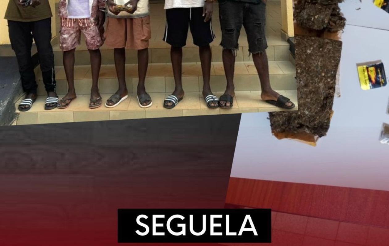 Séguéla : cinq jeunes interpellés pour trafic de stupéfiants
