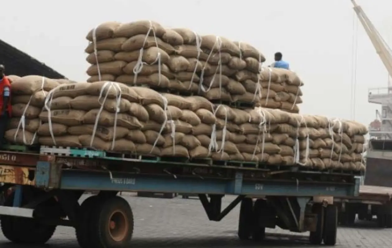 Cacao ivoirien : Yves Brahima Koné clarifie la situation des camions « bloqués »