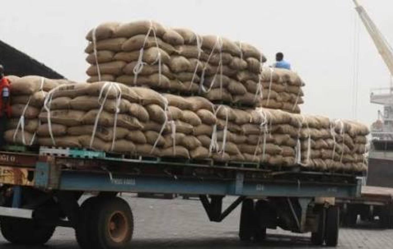 Filière café-cacao : 62 camions sans documents découverts dans les zones portuaires d’Abidjan et San Pedro