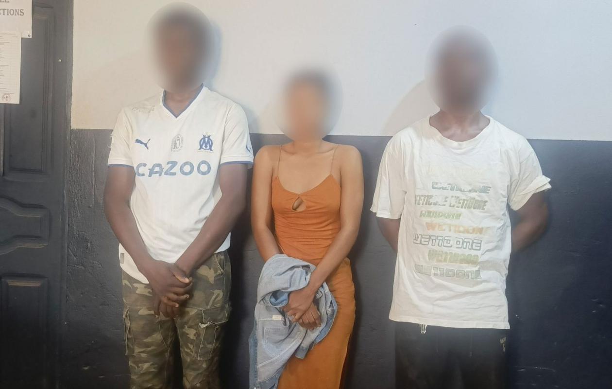 Bonon : trois présumés escrocs arrêtés pour vente frauduleuse de plantations