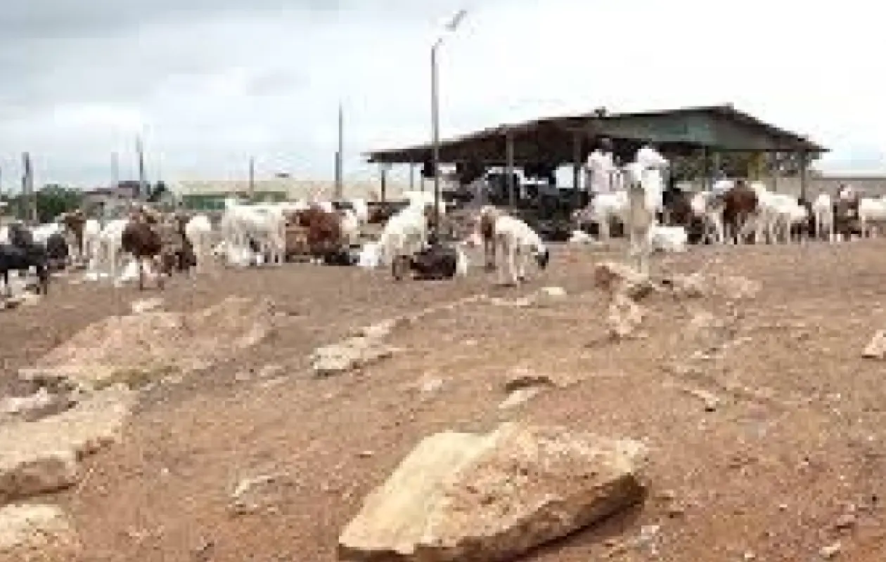 Le MIRAH dément l’existence d’une taxe de 3 500 FCFA sur la transhumance