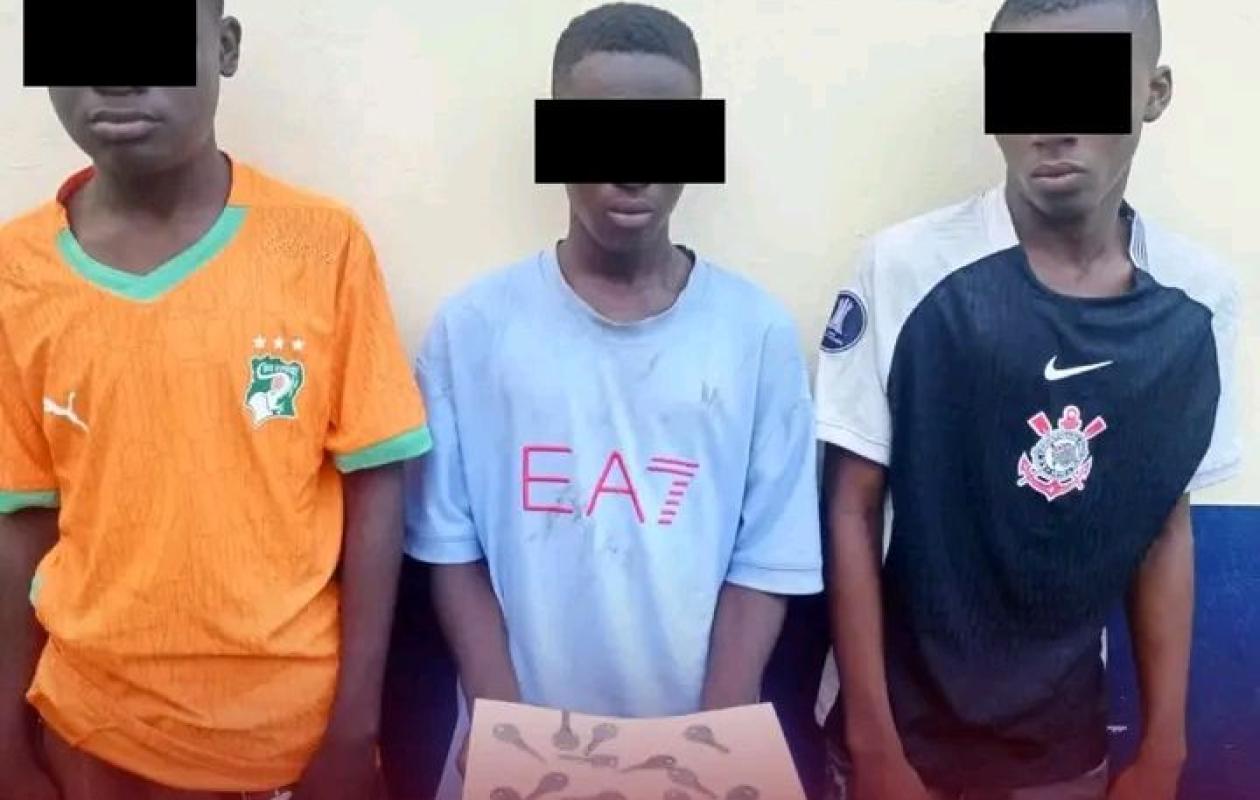 Deux Plateaux : Démantèlement d'un gang de cambrioleurs mineurs