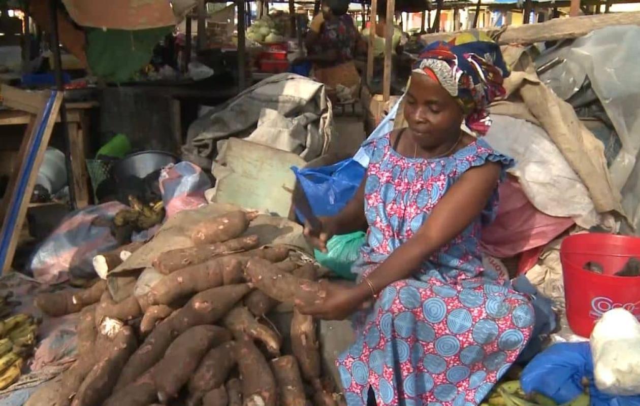 Manioc : les acteurs s’unissent autour d’une interprofession pour sécuriser les financements et transformer la filière
