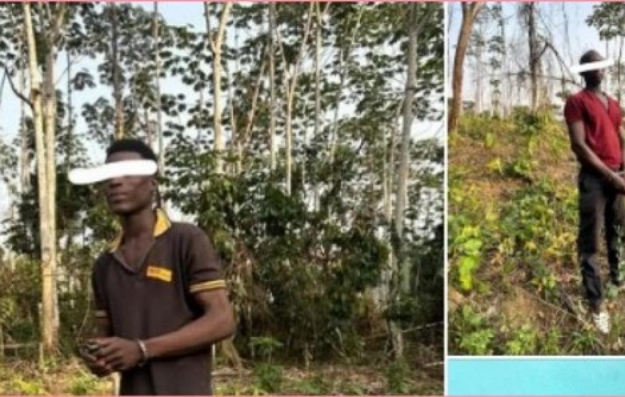 Forêt classée du Hein : trois individus interpellés en plein défrichement aux portes d’Abidjan