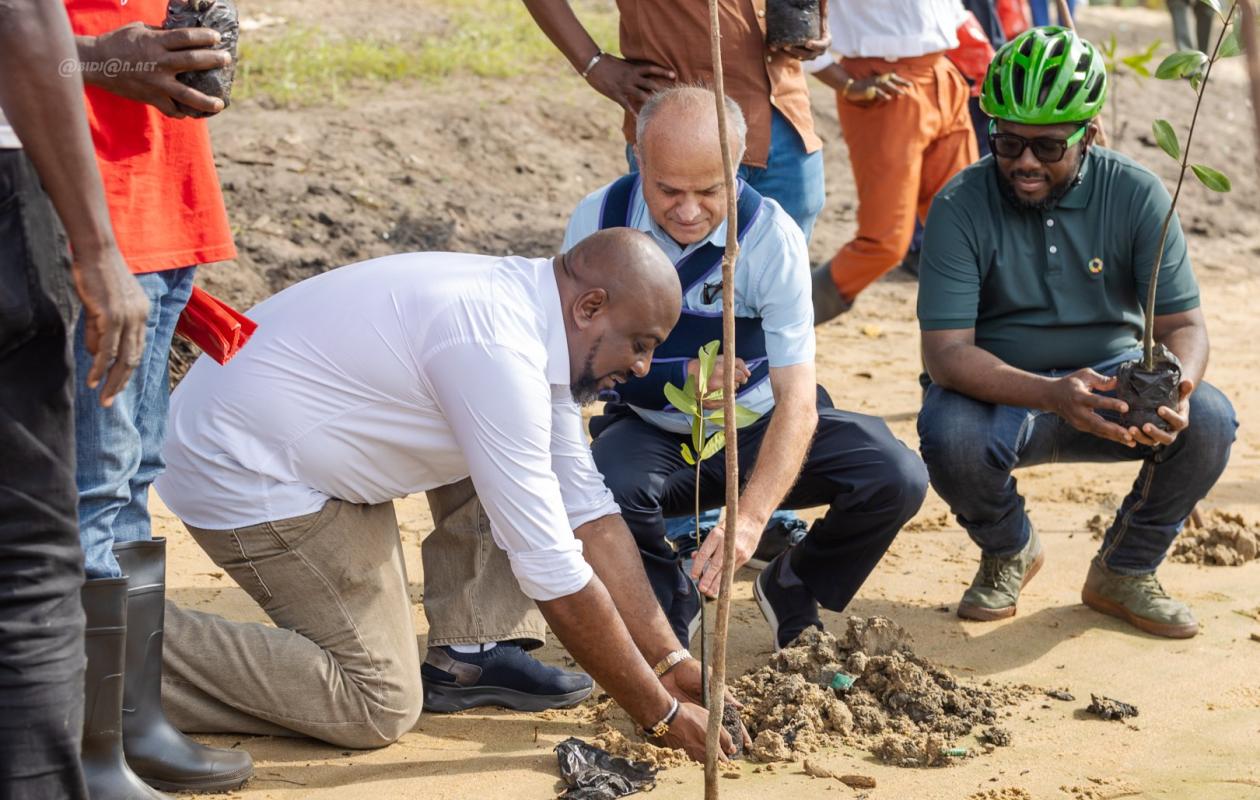Lagune Ébrié asphyxiée : la France lance l’offensive verte pour sauver les berges d’Abidjan