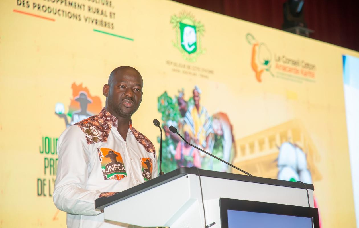 Anacarde : La Côte d'Ivoire franchit le cap historique de 1,5 million de tonnes en 2025