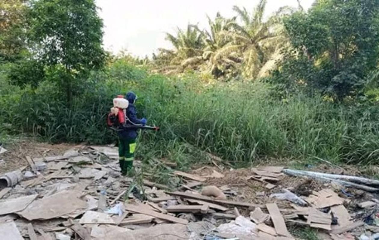 Lutte contre le paludisme : Sassandra intensifie sa campagne de démoustication