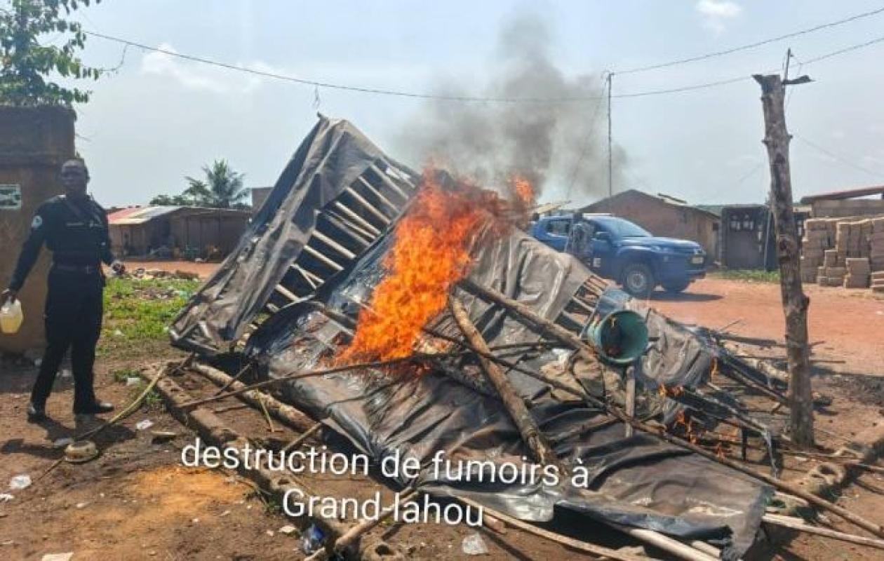 Grand-Lahou : l’“Opération Épervier” démantèle des fumoirs et met aux arrêts plusieurs suspects