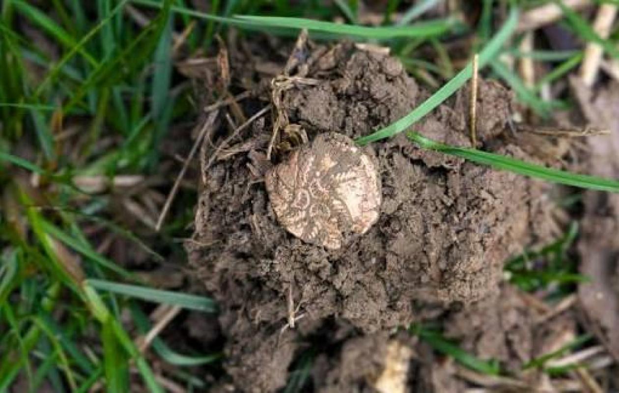 Archéologie : en Angleterre, un professeur d’histoire découvre par hasard dans un champ l’un des plus grands trésors de monnaies en or de l’âge du Fer