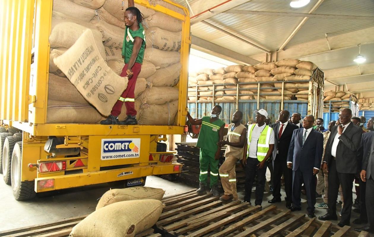 Cacao ivoirien : fin de crise et reprise des achats sur le terrain