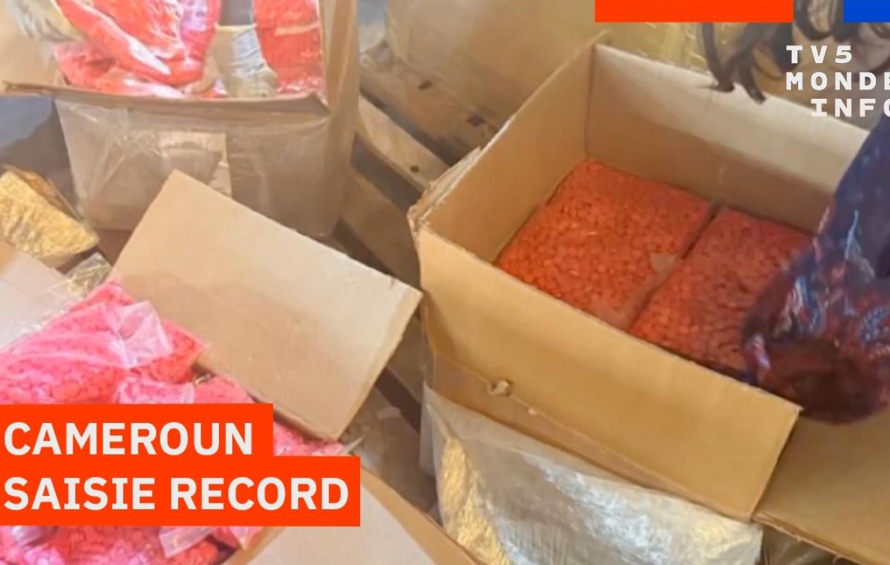 Cocaïne, tramadol... Saisie record de drogues au Cameroun, pays de transit mais aussi de consommation de stupéfiants