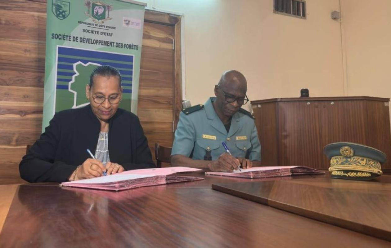 Protection des forêts : la Sodefor s’appuie sur l’expertise universitaire pour promouvoir l’agroforesteri