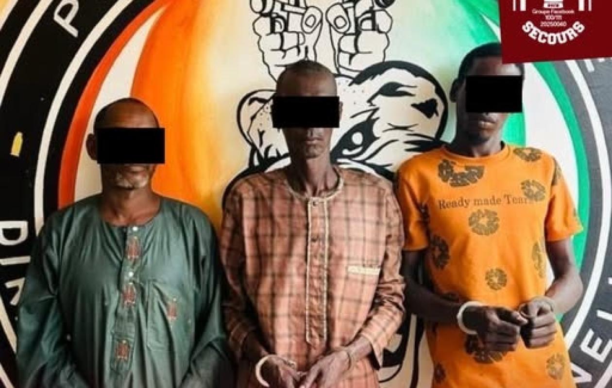 Vol spectaculaire de 38 bœufs près d’Arrah : un berger et ses complices arrêtés par la BRI