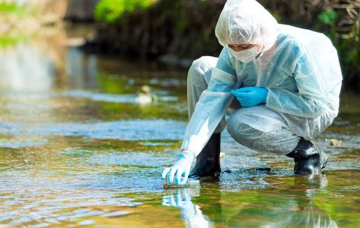Dans les eaux usées analysées par Sciensano, de la cocaïne partout en Belgique, mais aussi d'autres découvertes...