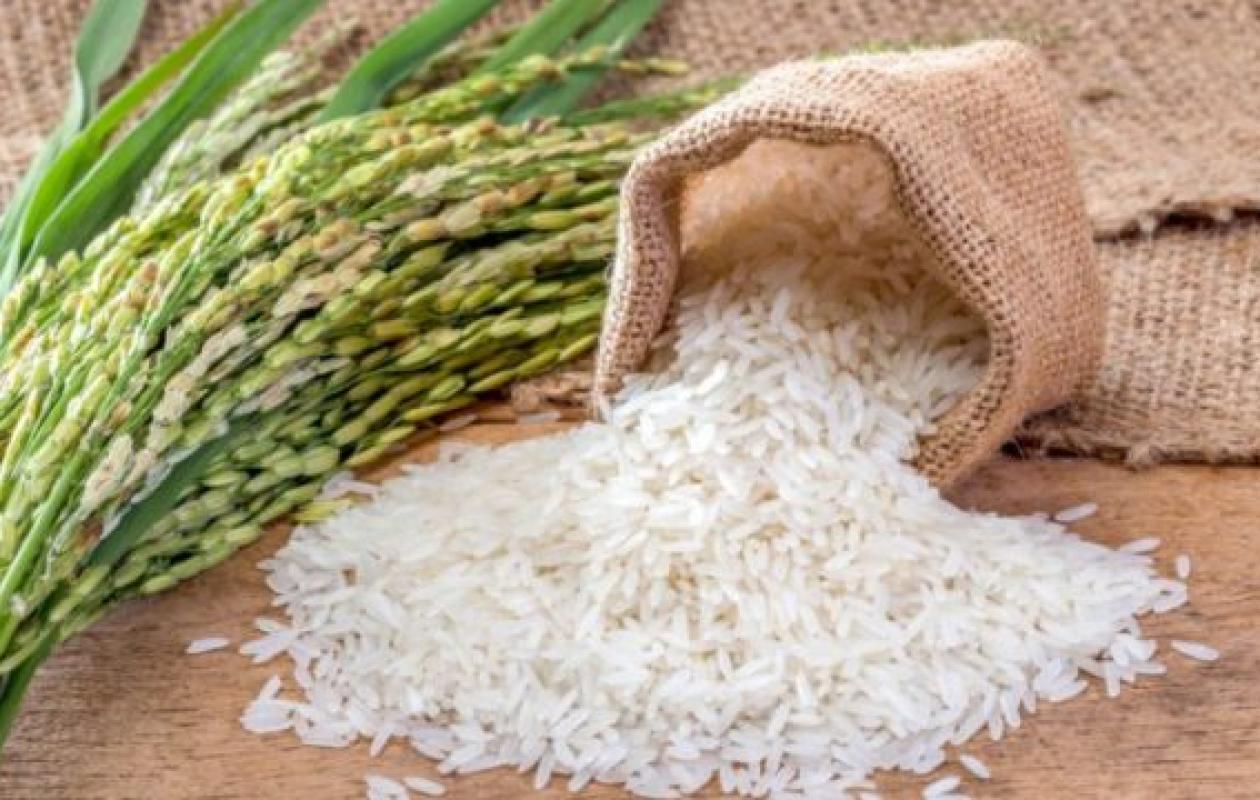 Le plan à 768 milliards pour conquérir l’autosuffisance en riz