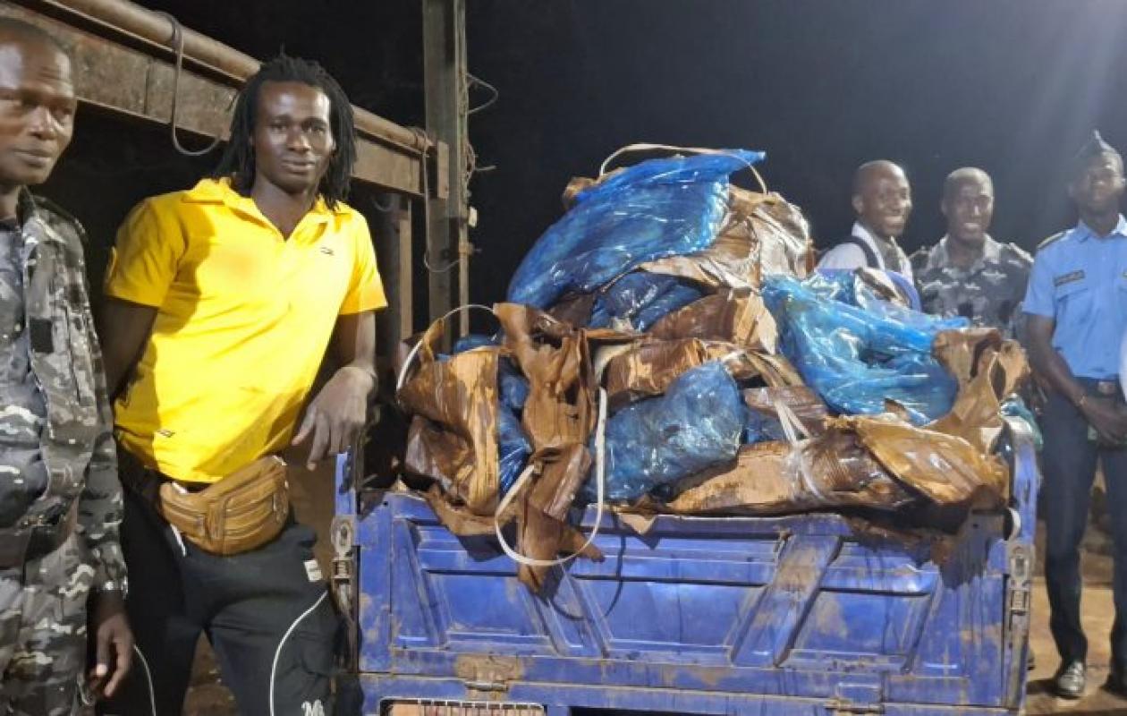 Tengréla : près de 1,5 tonne de thon impropre à la consommation retirée du marché et incinérée