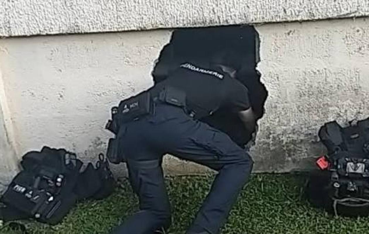 Trafic de stupéfiants en Guadeloupe : des caches de drogue découvertes lors d’une opération de gendarmerie à Bouillante