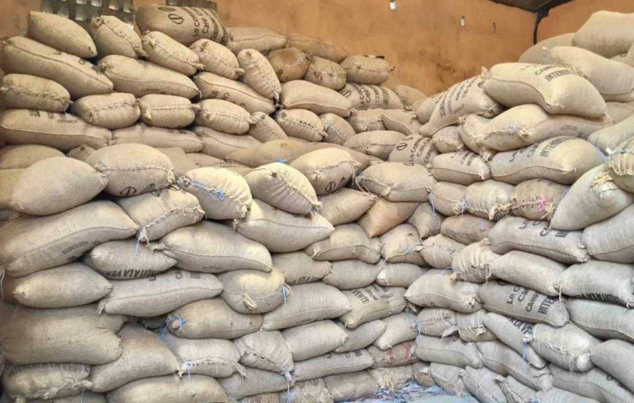 3 400 tonnes de cacao stagnent à Alépé, les producteurs alertent le président