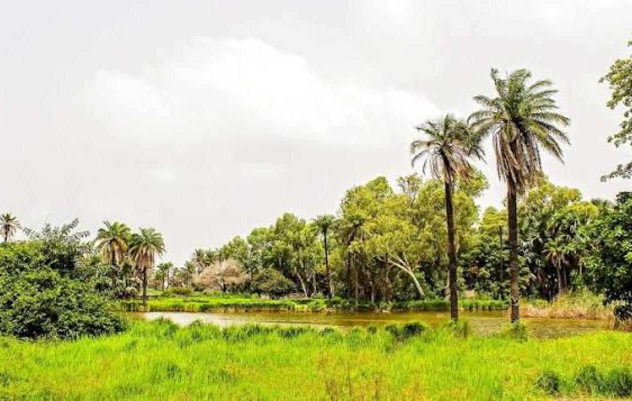 Climat : La Côte d’Ivoire lance un plan record de 35 150 milliards FCFA pour ses ambitions vertes