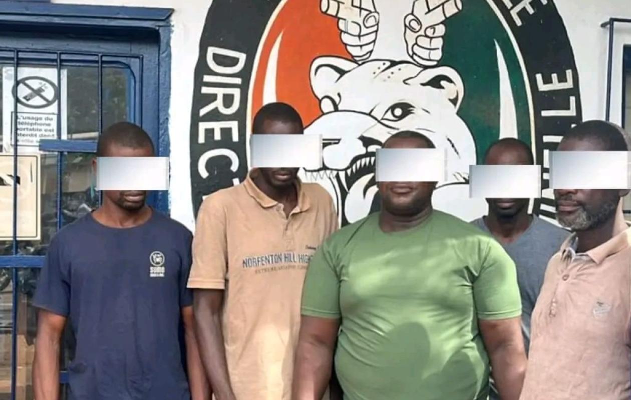 San-Pedro : coup de filet de la police, cinq présumés voleurs de cacao arrêtés avec plus de 700 sacs dérobés