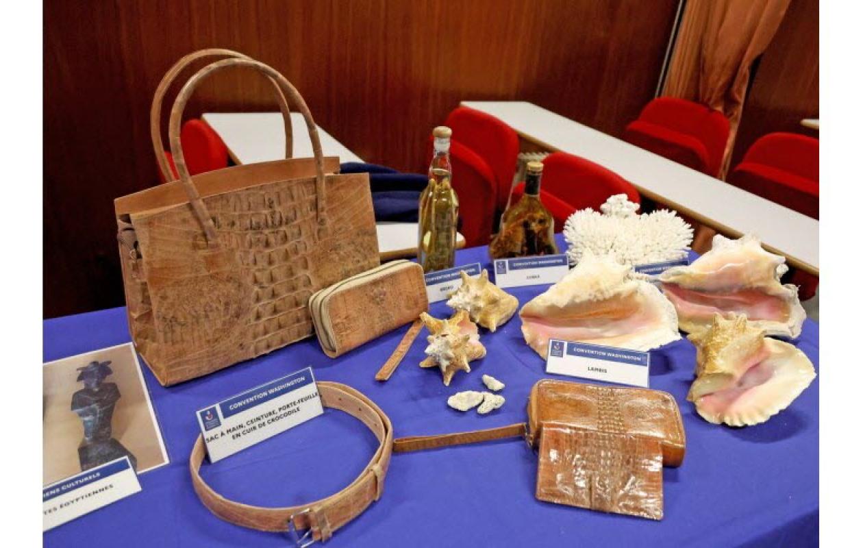 Des statuettes égyptiennes de 3 300 ans interceptées à l’aéroport Saint-Exupéry