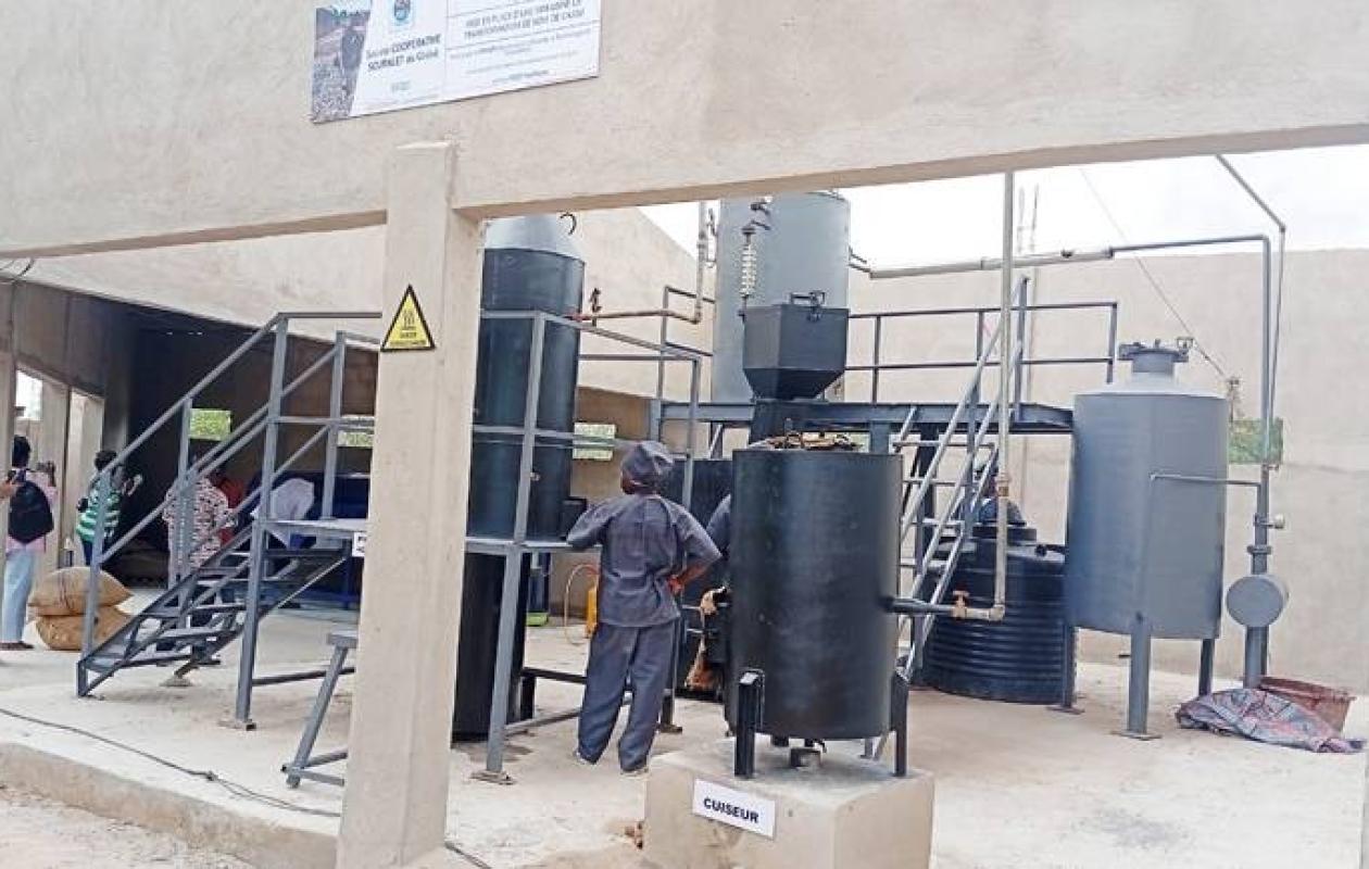 Anacarde : à Brobo, une mini-usine “Made in Côte d’Ivoire” booste la transformation locale