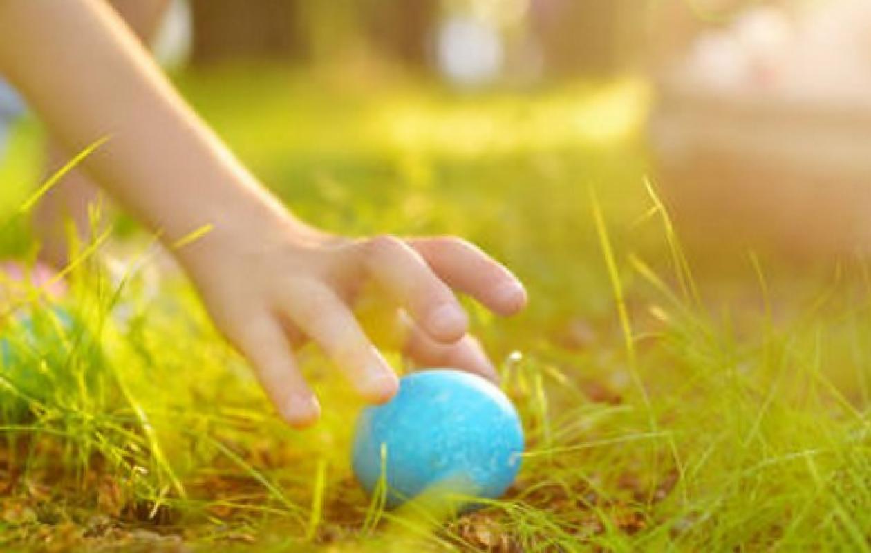 Un arbre s'écrase durant une chasse aux oeufs et tue 2 jeunes filles et un bébé de 10 mois