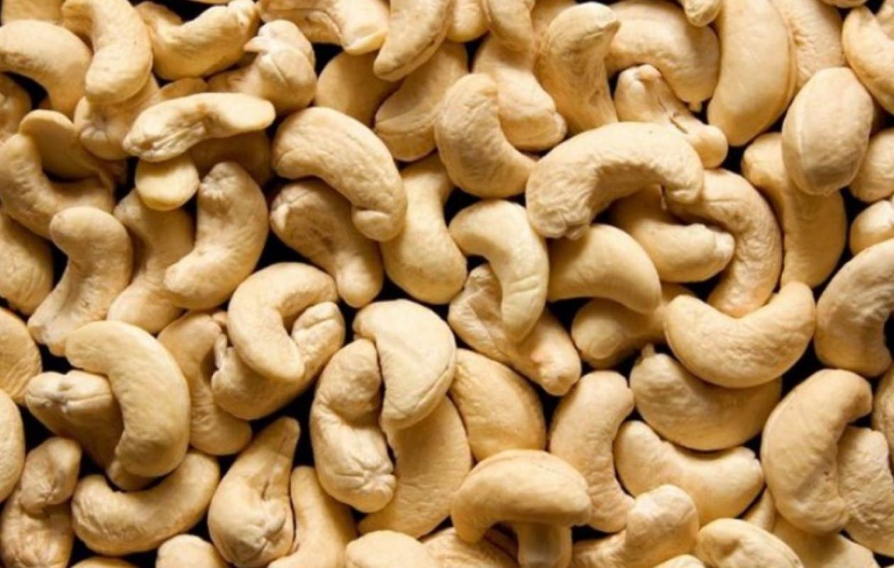 Daloa : L'usine de transformation de cajou achevée à 80 %